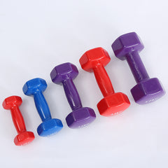 Let's Sweat It Out Color fitness dumbbells