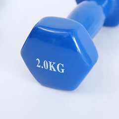 Let's Sweat It Out Color fitness dumbbells